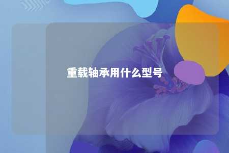 重载轴承用什么型号 